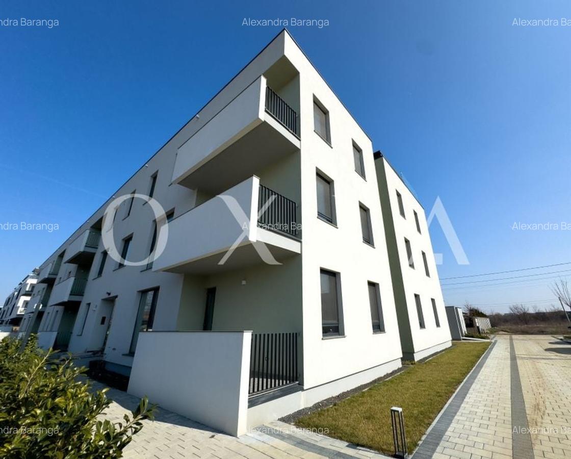 AX1068 Dumbravita, Bulevardul Petre Tutea, Prima Inchiriere - 9