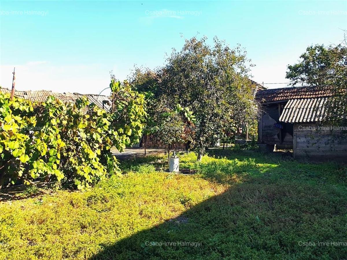 Casa cu teren in Cefa cu dublu front stradal - 12