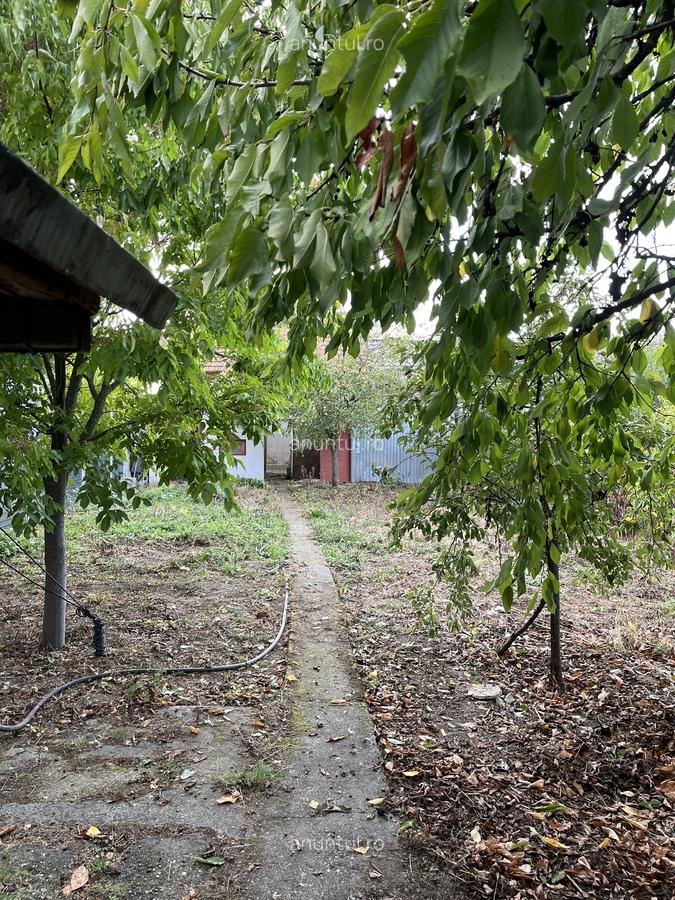 Tatarai, zona Scrovistea - 2