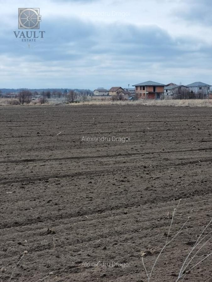 Teren intravilan - Corbeanca - Ostratu - 4