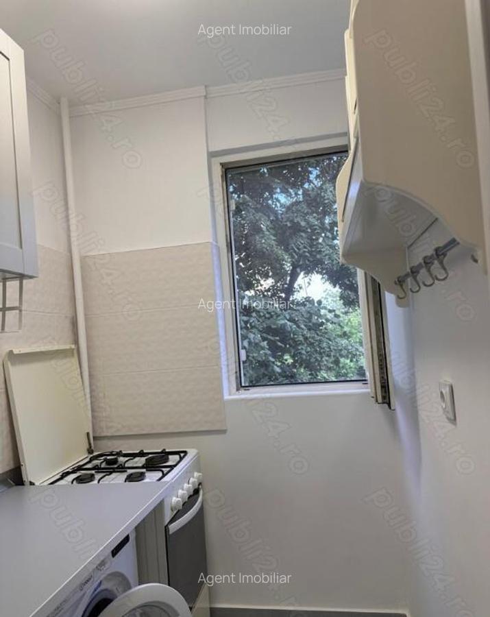 Colentina teiul doamnei metrou obor - 1