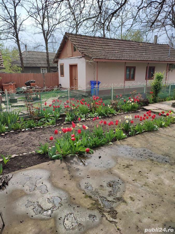 Vand casa GRIVITA-IALOMITA - 10