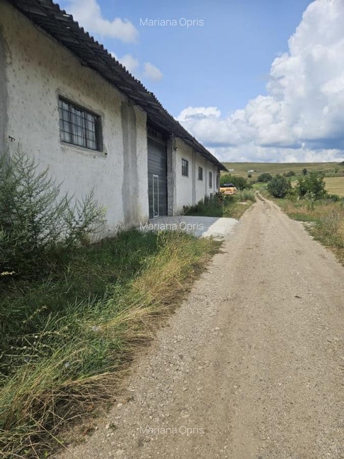 Inchirez hala pt servi ce camioane, sau depozitare Cristian Sibiu - 6