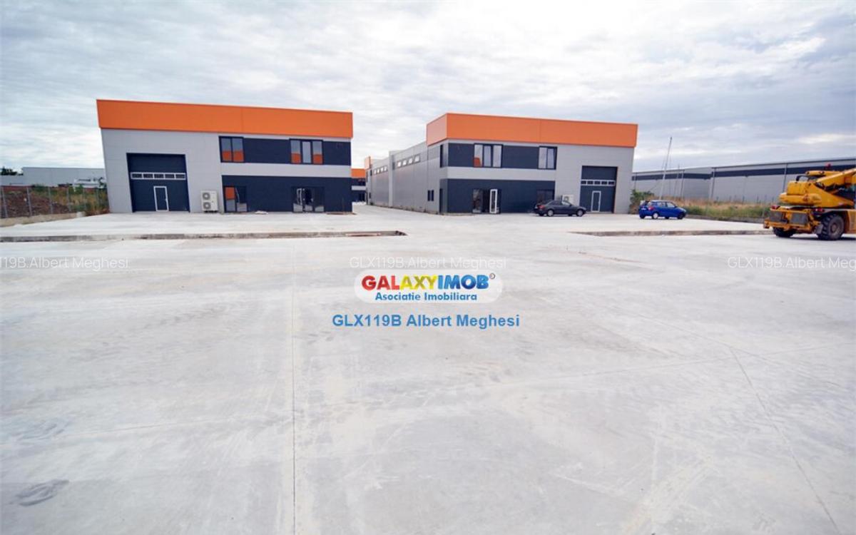 Hala 482 mp Chiajna Centura - 2