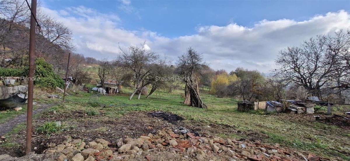 RECO Teren intravilan in Borod, Bihor 1750mp - 4