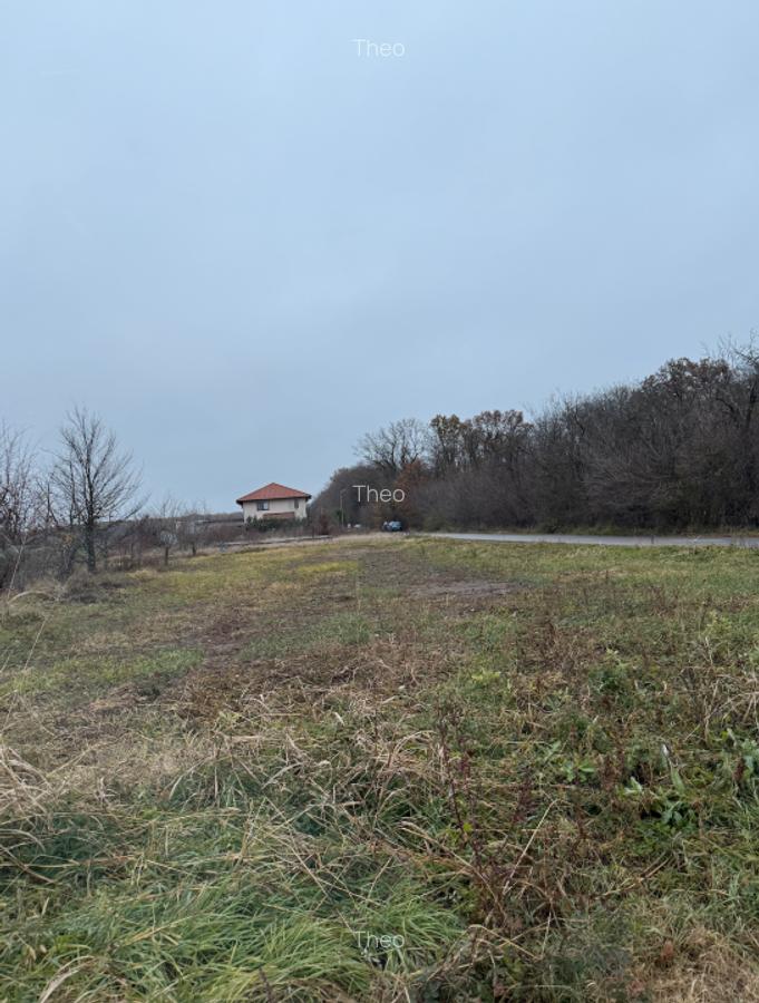 Teren intravilan 736 mp, Ciofliceni – Snagov, acces asfalt, lângă pădure și case - 3