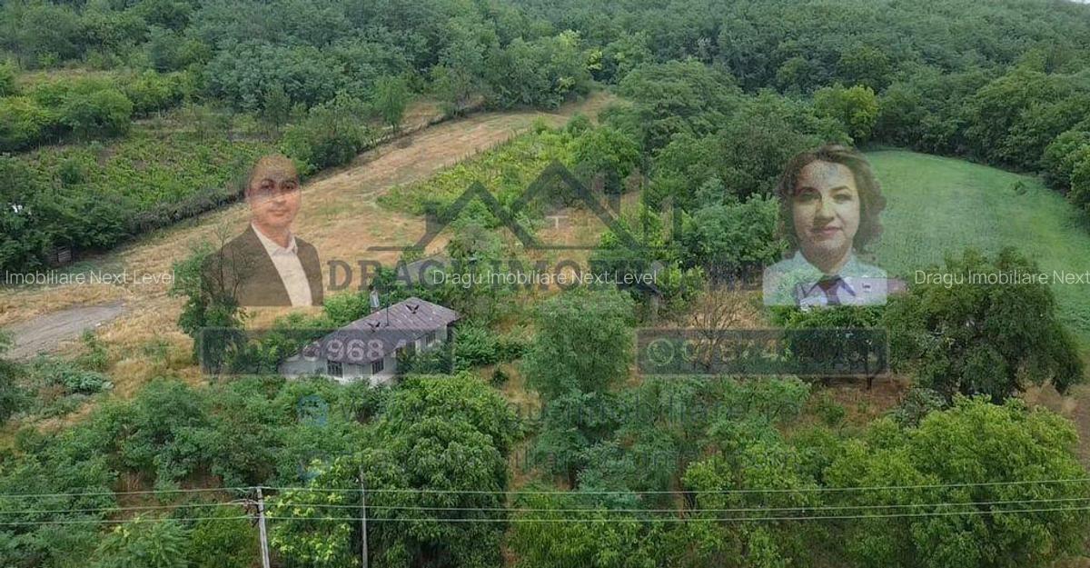 Teren intravilan cu utilita?i 3.000 mp / lot Sl... - 5