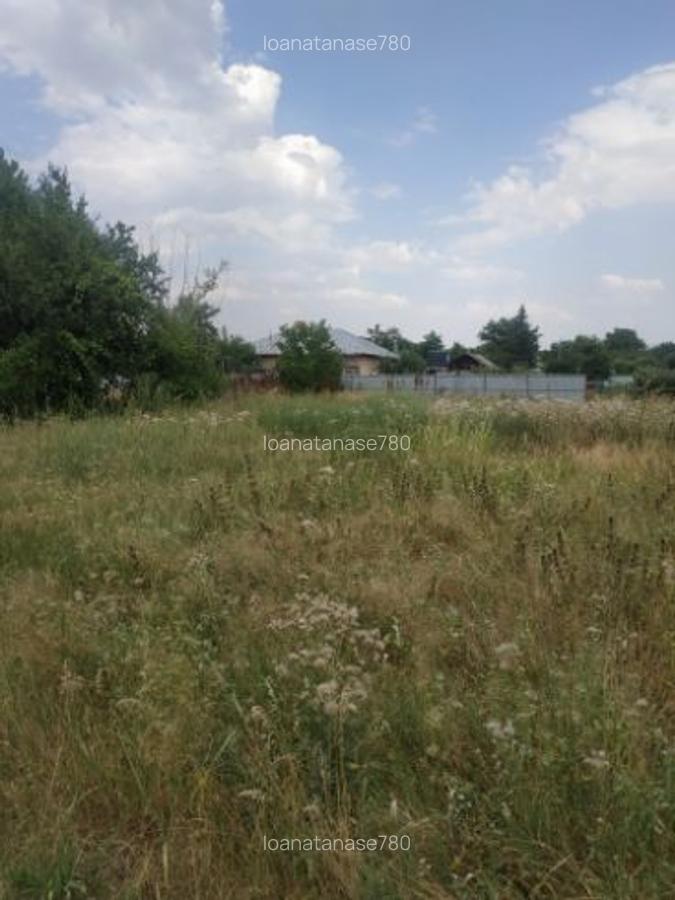 Vând teren intravilan 1800 metri pătrați - 3