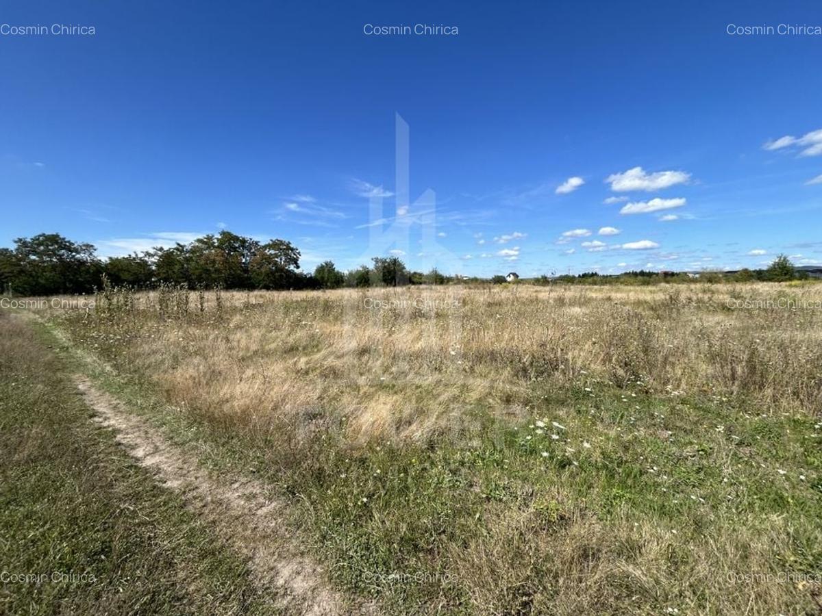 Teren intravilan de vânzare | Zona Ștrand-Sibiu (Câmpșor) - 8