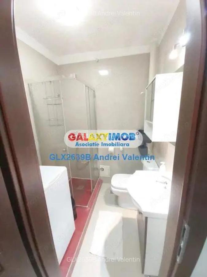 Inchiriere Garsoniera Moderna Tineretului - Piata Norilor - Metrou - 5