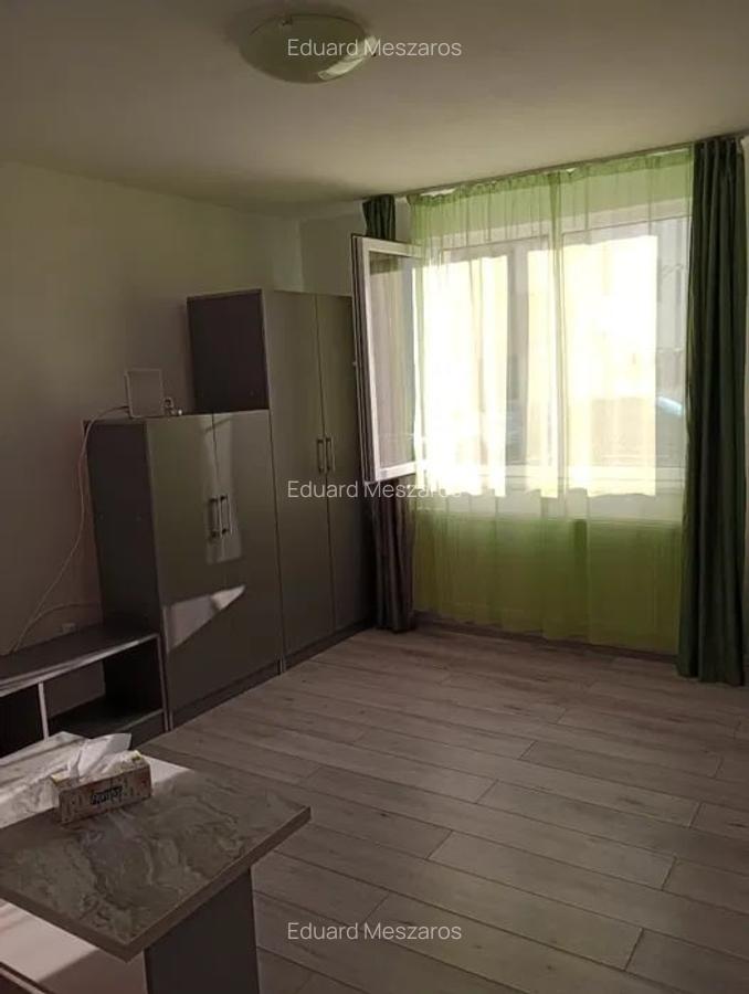 Apartament 1 camera, cu parcare inclusa, zona Cetatii - 4