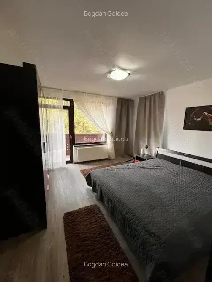 Apartament 2 camere Trei Brazi - 3