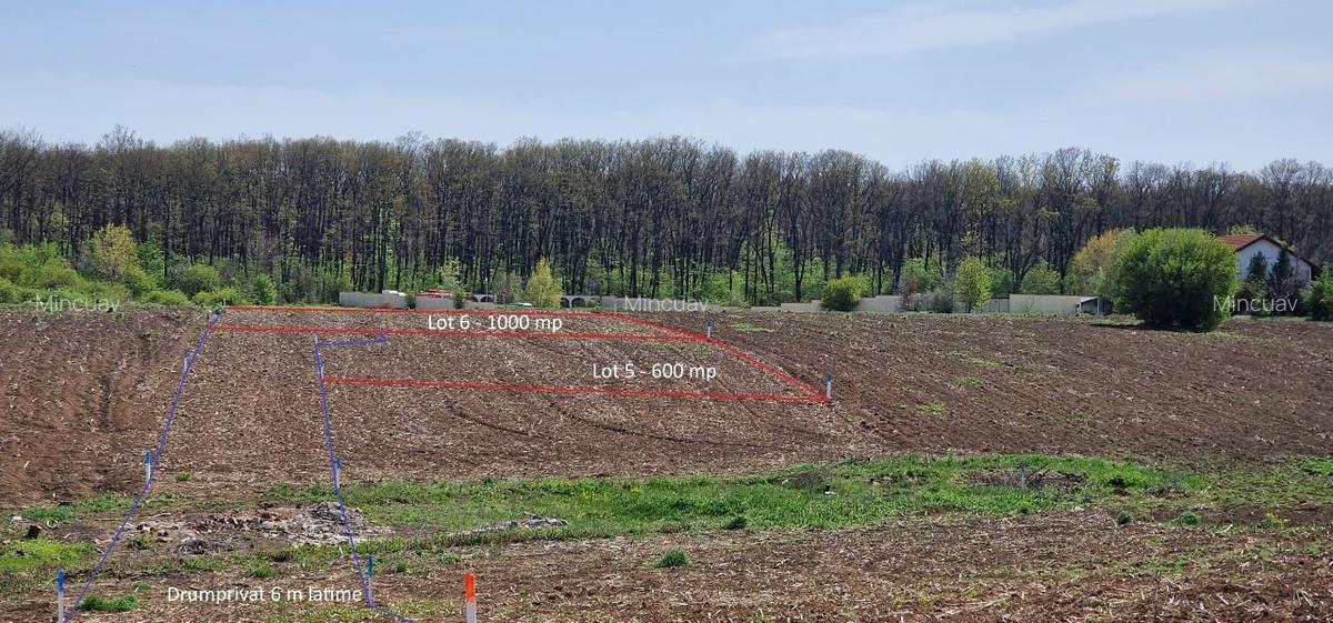 Snagov, Vladiceasca, Intravilan, zona de vile noi, canalizare, electricitate - 12