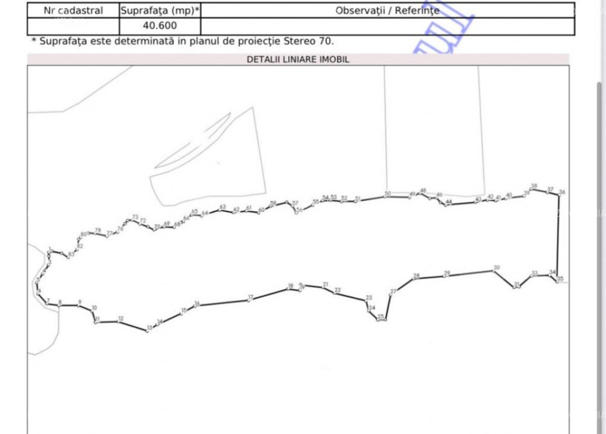 Teren extravilan, 4 hectare, langa livada de mere Ghinda - 2