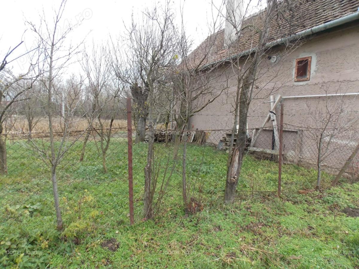 Vanzare casa cu teren de 3600 mp Miercurea Sibiului - 4