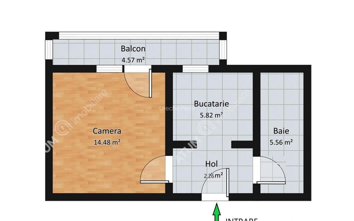 Garsoniera decomandata cu balcon si pivnita zona Turnisor - 8