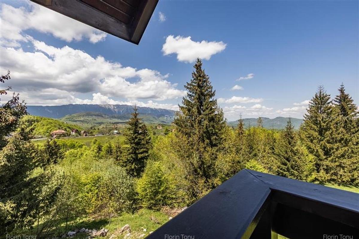 FILM! Distinctie pe arena spataculoasei naturii, Bran, Fundata - 22 FILM! Distinctie pe arena spataculoasei naturii, Bran, Fundata - 22