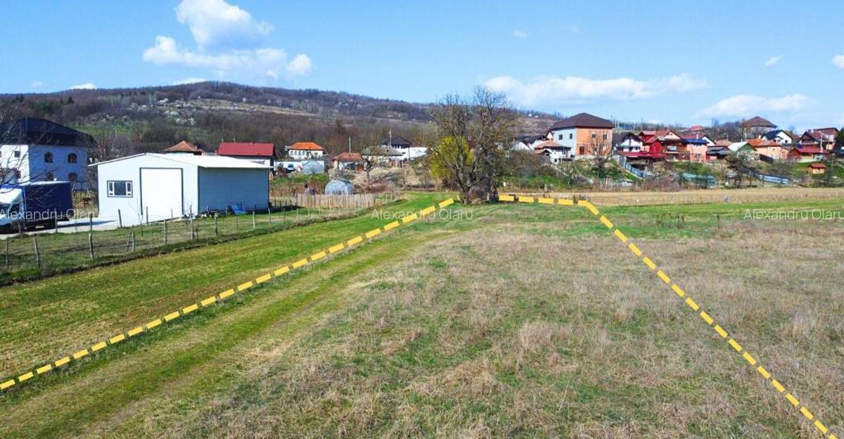 BUDESTI - TEREN 2550 MP - 4