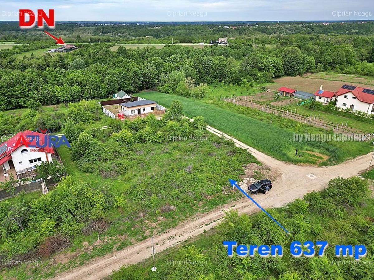 AZURA Imobiliare - Teren Mosoaia - 1