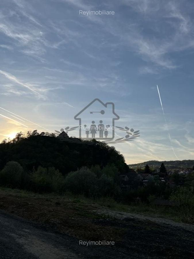 Teren la poalele Cetății Cisnadioarei de vânzare/1250 mp - 4