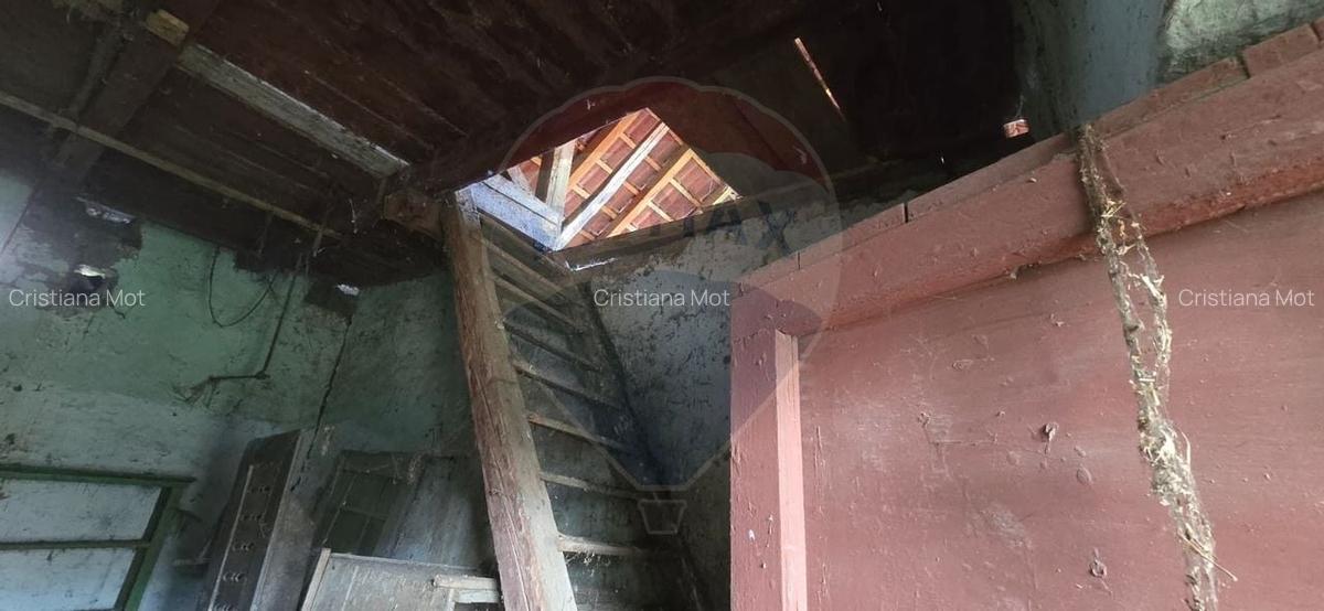 Teren si casa cu teren generos in Socodor - 25 Teren si casa cu teren generos in Socodor - 25