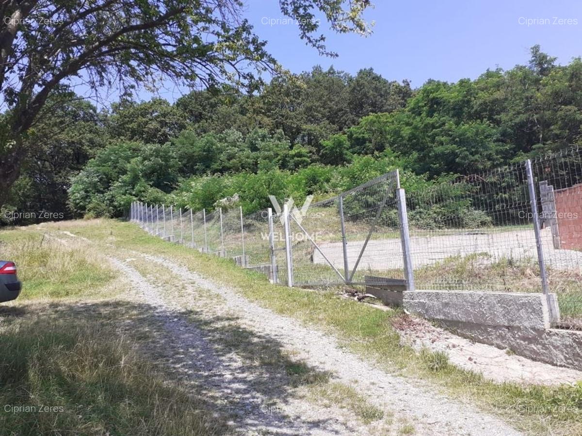 Teren intravilan constructii  - Cisnadioara - Sibiu - 7
