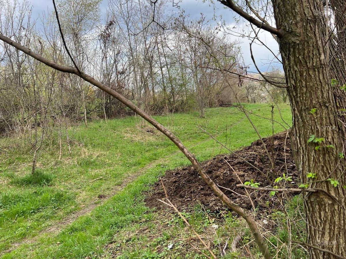 Breaza - str.Plaiului, Coasta Berzei nr.54, teren 1400 mp - 5