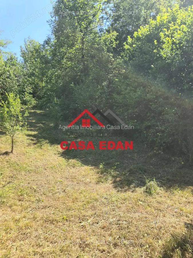 Teren intravilan neconstruibil in Poiana Campina--550 mp--5.300e - 2