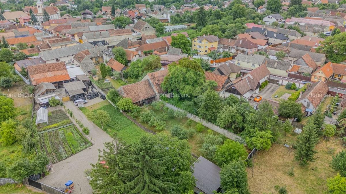 Comision 0 | Casa cu 3 camere, teren 1541 mp, livada, beci si garaj - 28