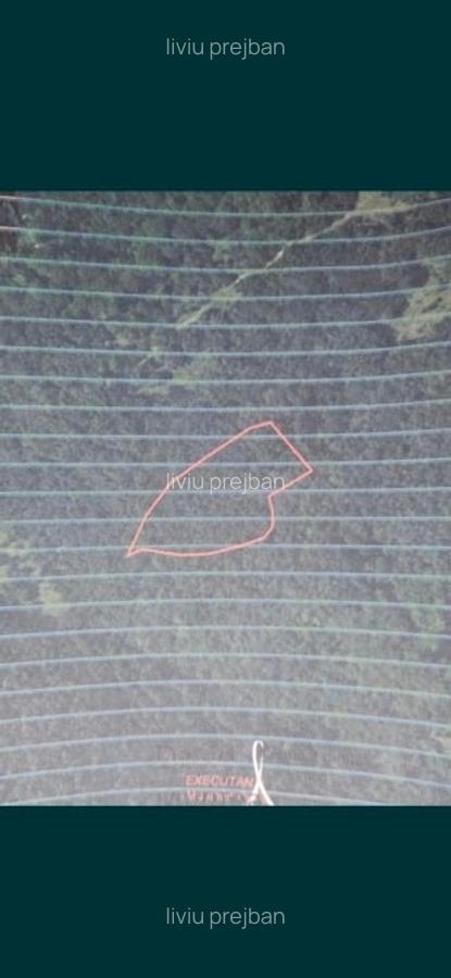 Vând casa batraneasca + teren + padure - 3