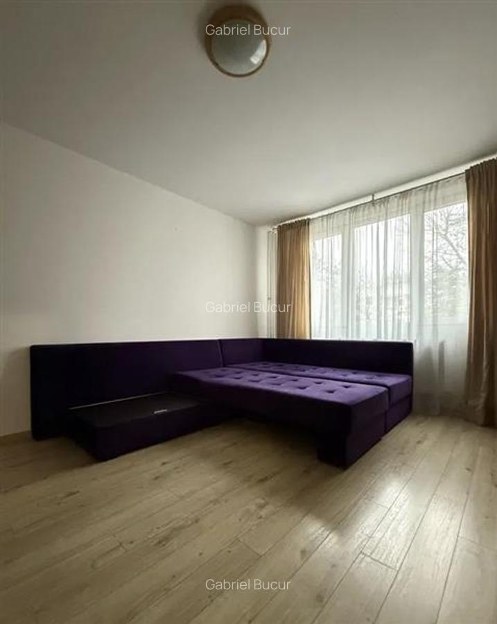 Vanzare Garsoniera Decomandata Berceni-Secuilor - 3