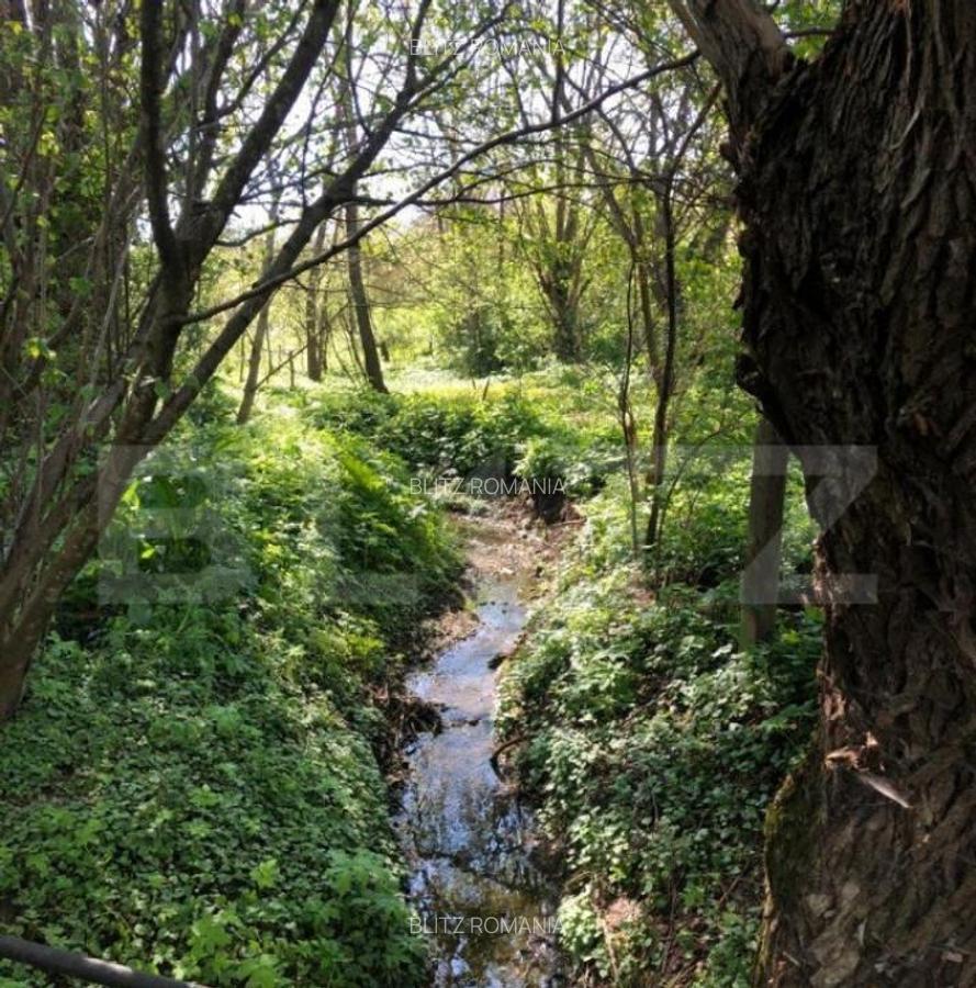 Rate la proprietar Casa individuala 75 mp, teren 1600mp , V - 9