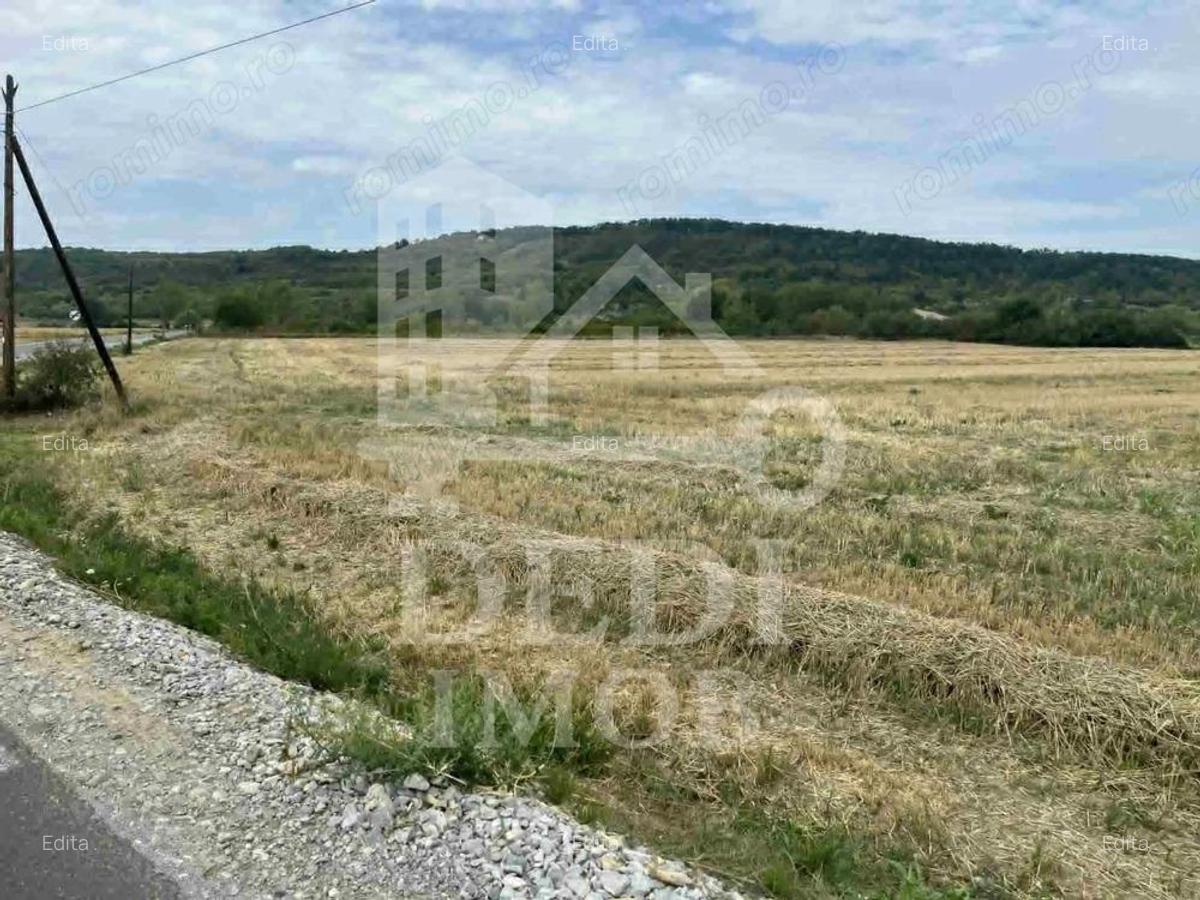 Teren intravilan de vanzare in Fughiu, Bihor - 2