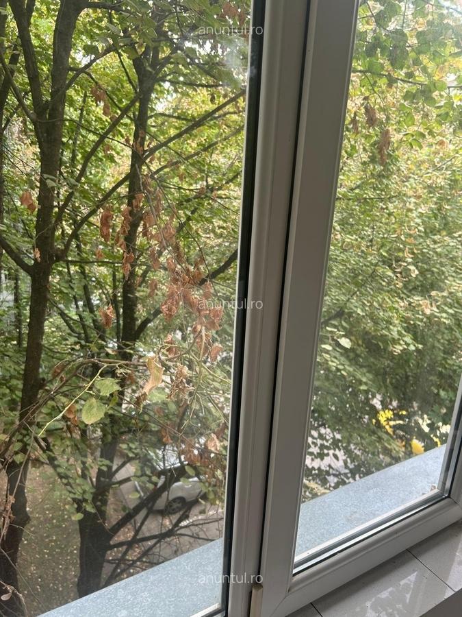 Berceni, Izvorul Muresului - 11