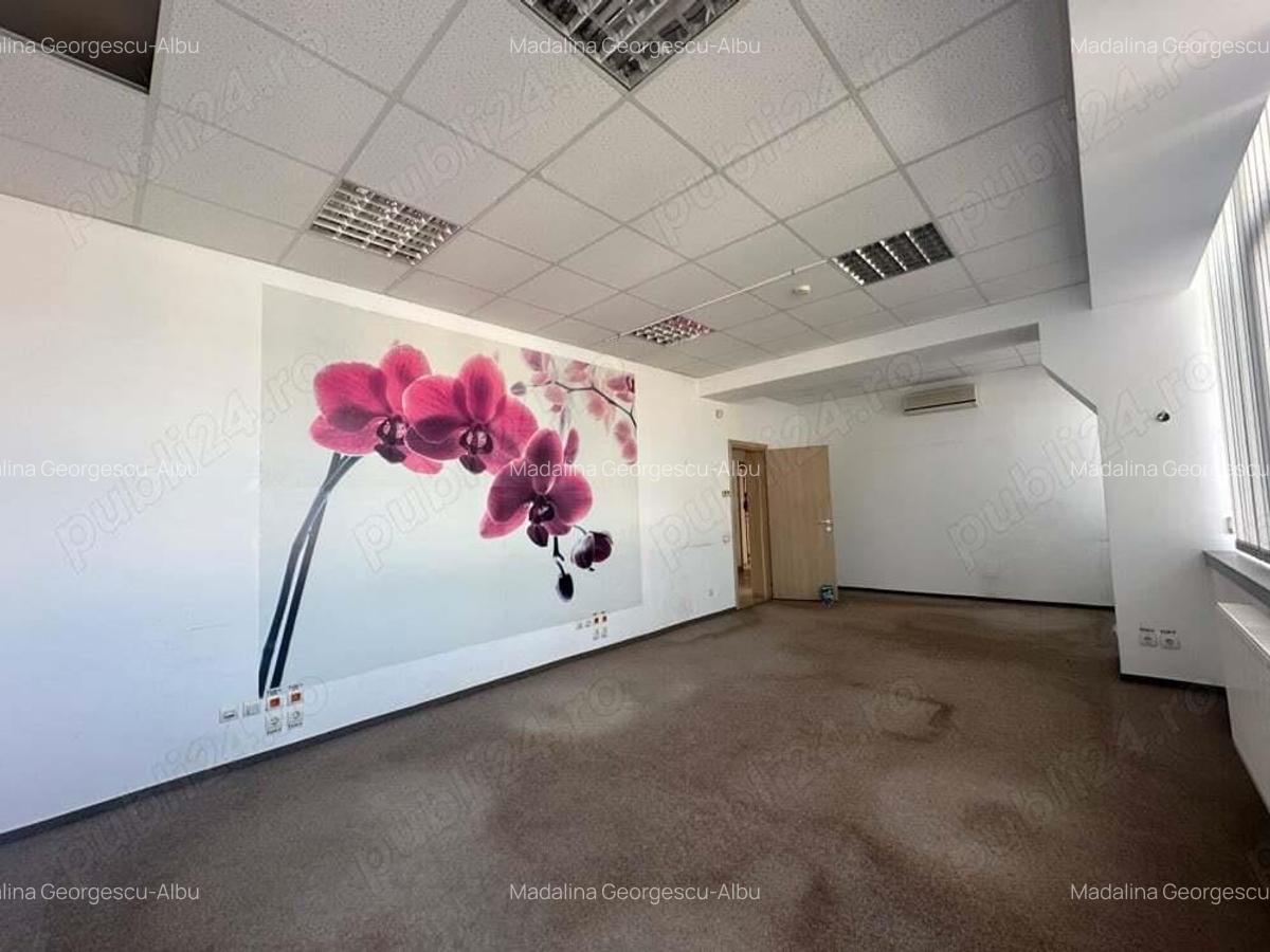 Theodor Pallady stradal birou 410 mp utili LIBER - 17