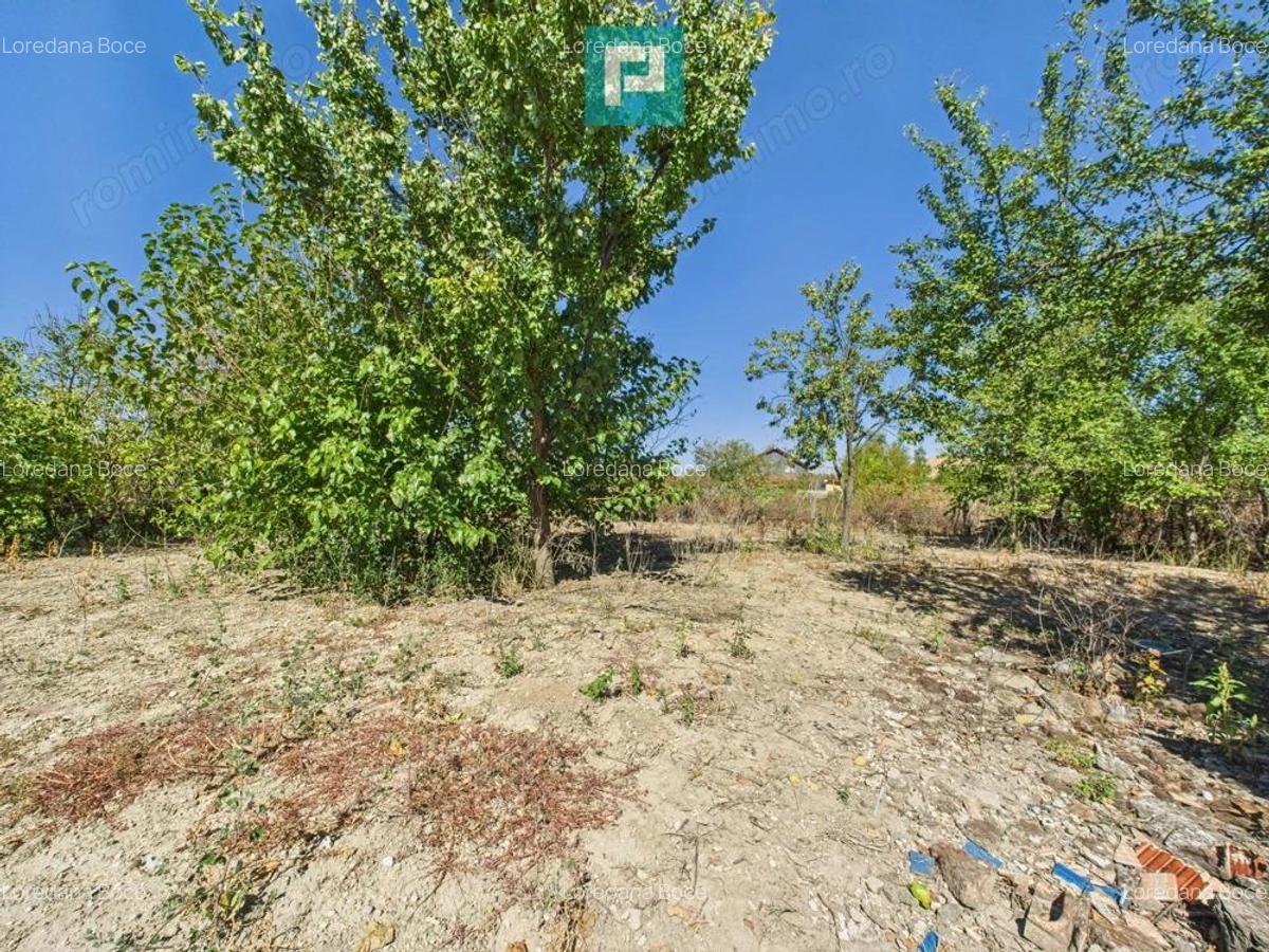 Casa ?i teren in Moravi?a, Timi?-pozi?ie excelenta - 18