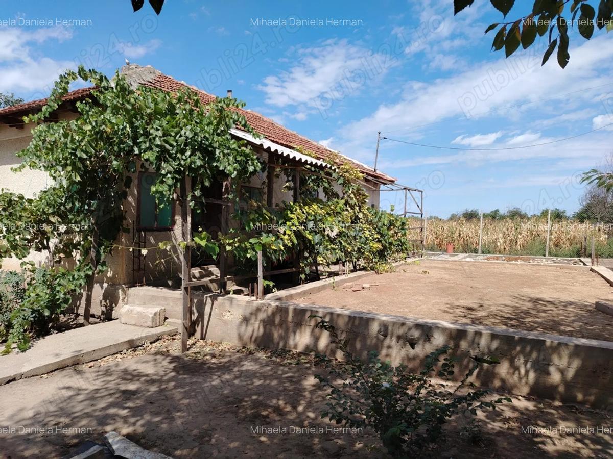 Casa de vanzare in sat LANURILE - 10