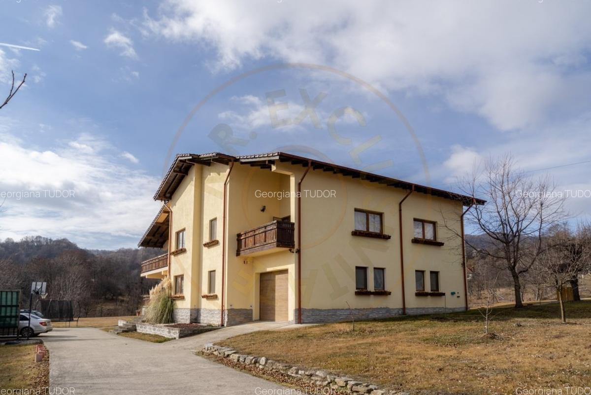 Casa de Vis la poalele Muntilor Fagaras-Jud.Arges! - 19