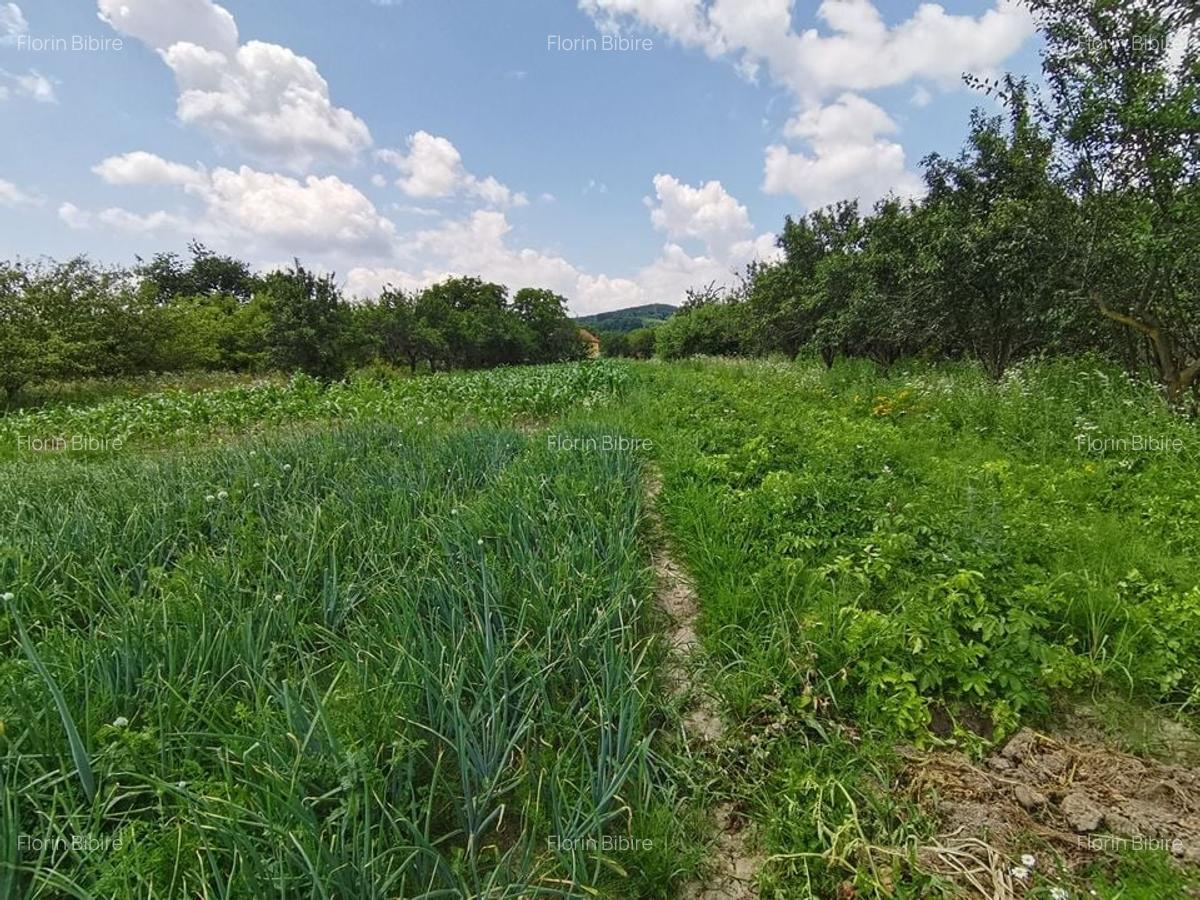 Zona in Expansiune! Teren-5.000 mp/ Arges/Burlusi/Ciofrangeni - 7