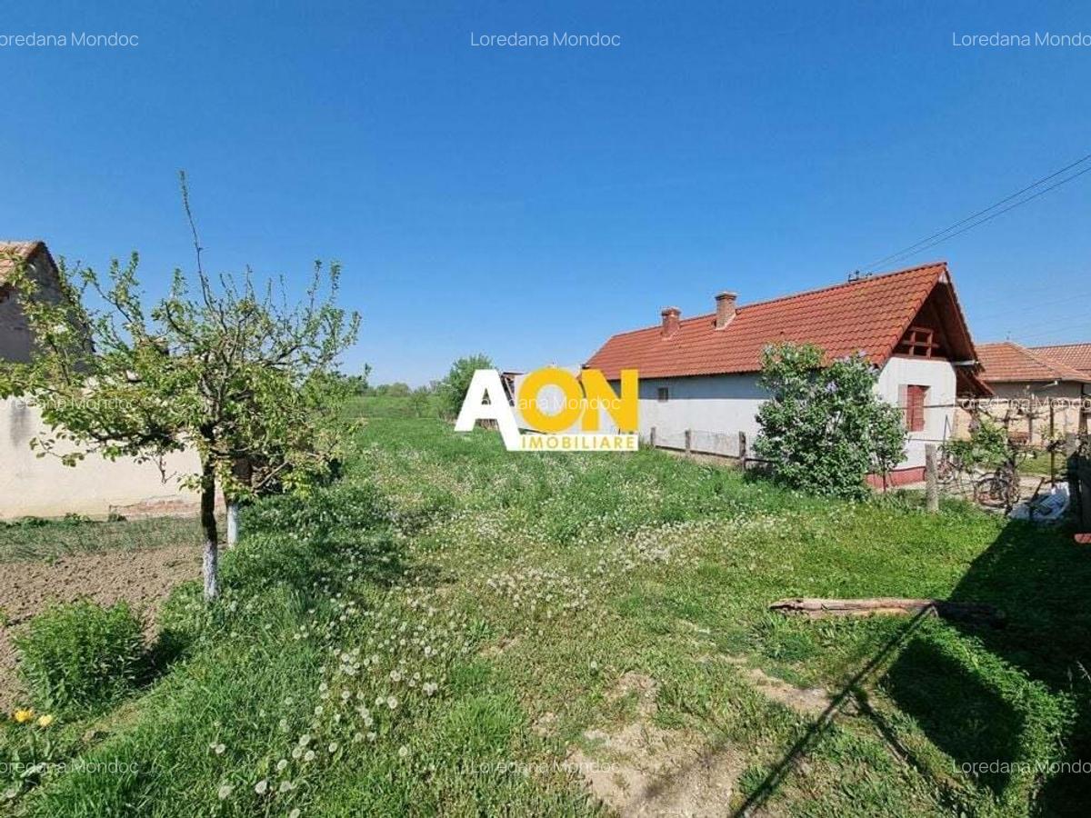 De vanzare 1218 teren intravilan, cu utilitati si asfalt, Oarda de Jos - 3