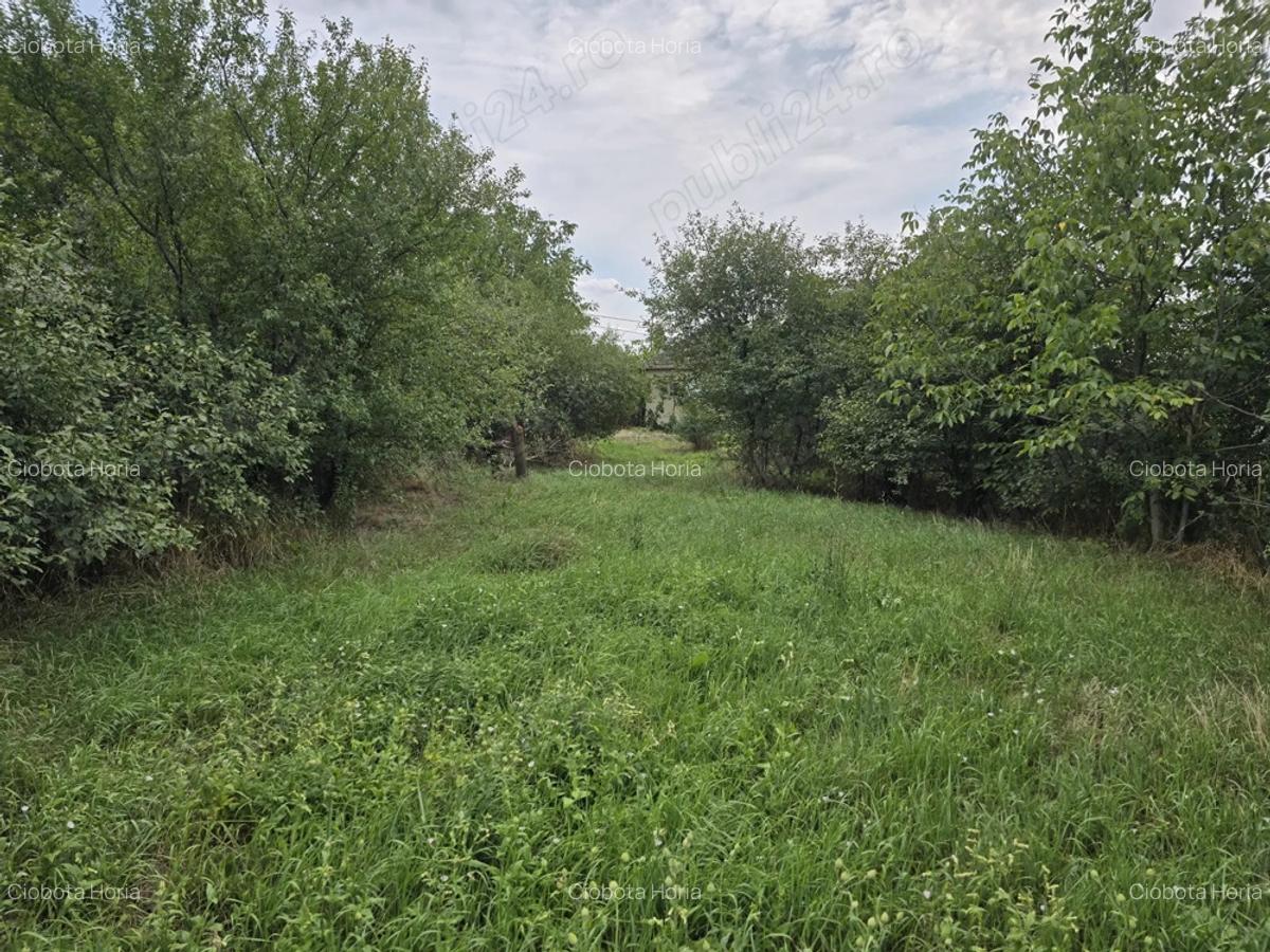Vand casa in Tinca (sau schimb cu garsoniera oradea) 2 camere, pe treren de 1000 metri patrati - 2