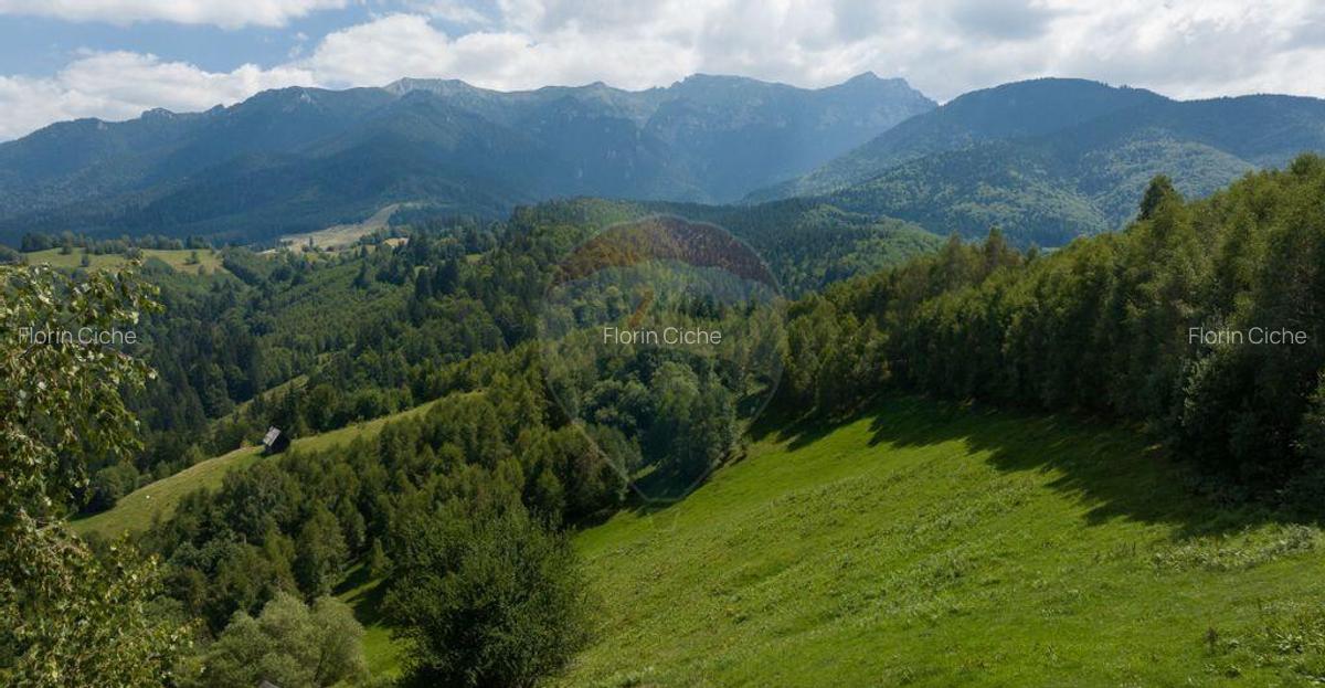 Teren Panoramic in Bran Vedere spre Bucegi & Piatra C... - 5