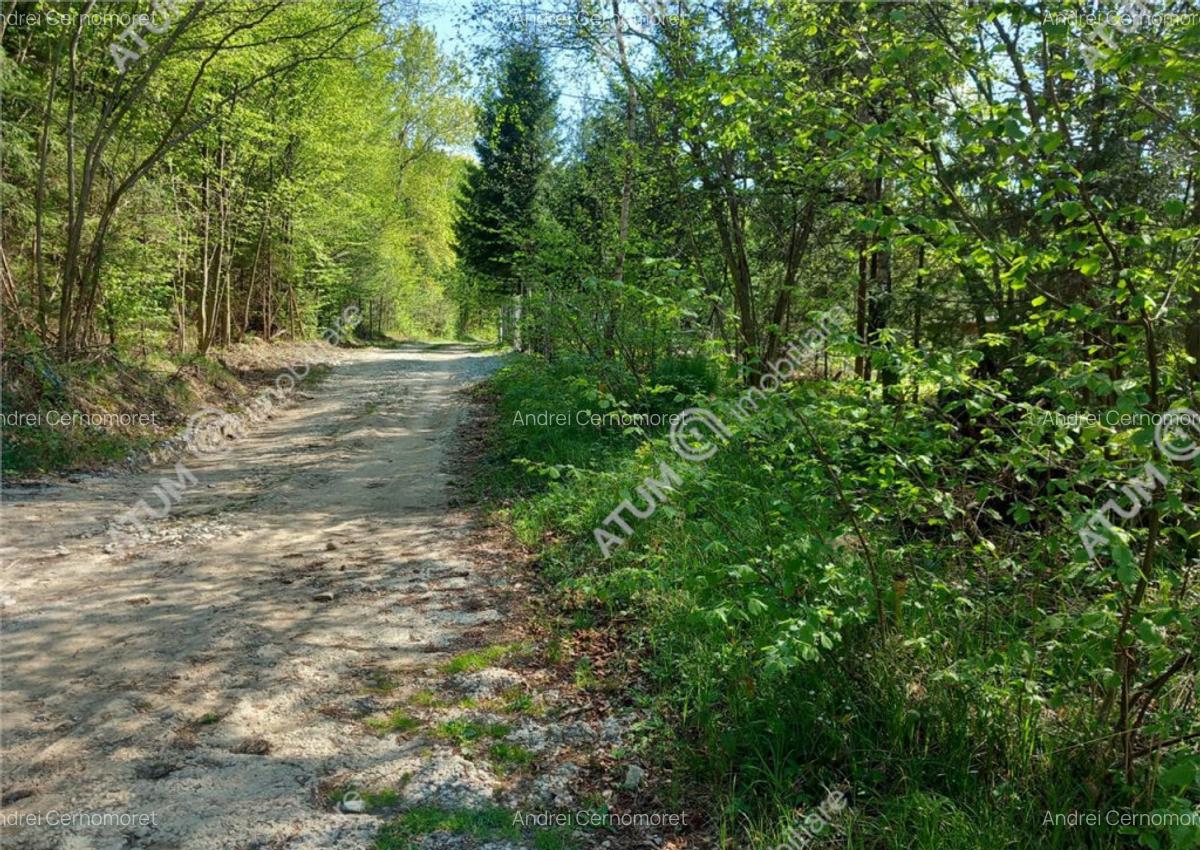 Teren intravilan 1300 mp de pe Valea Avrigului in zona Mlac - 2