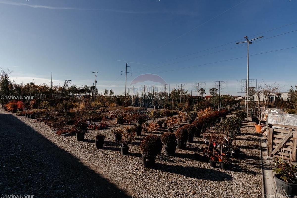 Spatiu industrial de 457mp de vanzare in zona Calea Santandrei - 10