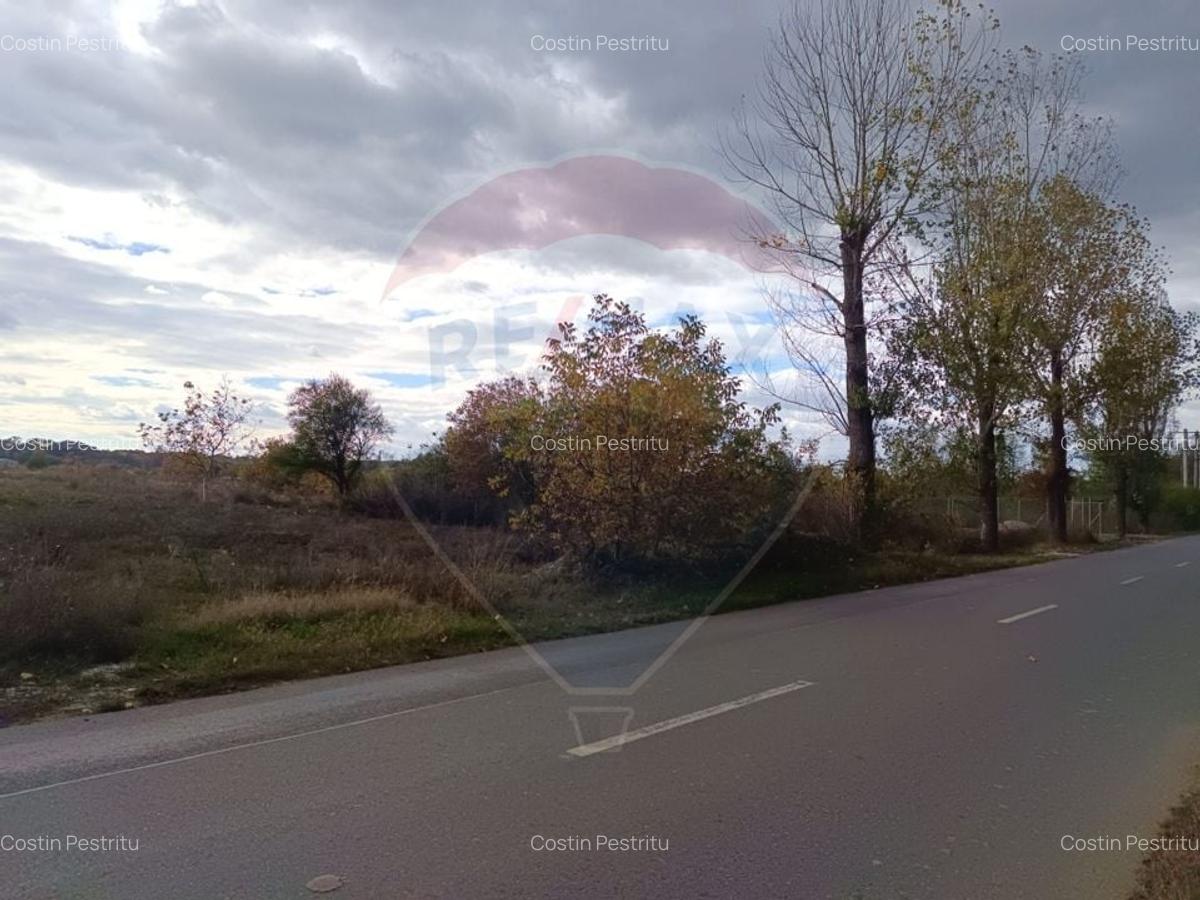 Teren 2,056mp Ciolpani - 7