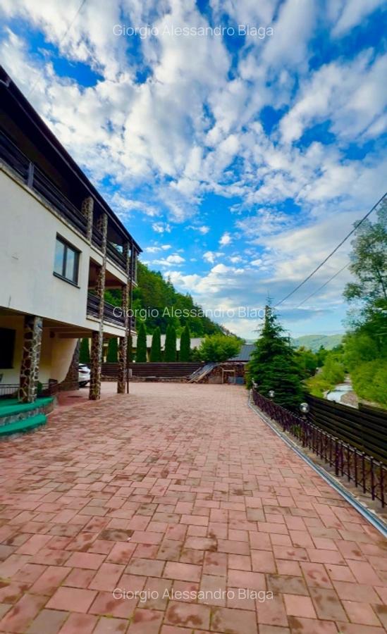 Casa de vacanta sau pensiune | Batca Doamnei | Teren in natura - 3