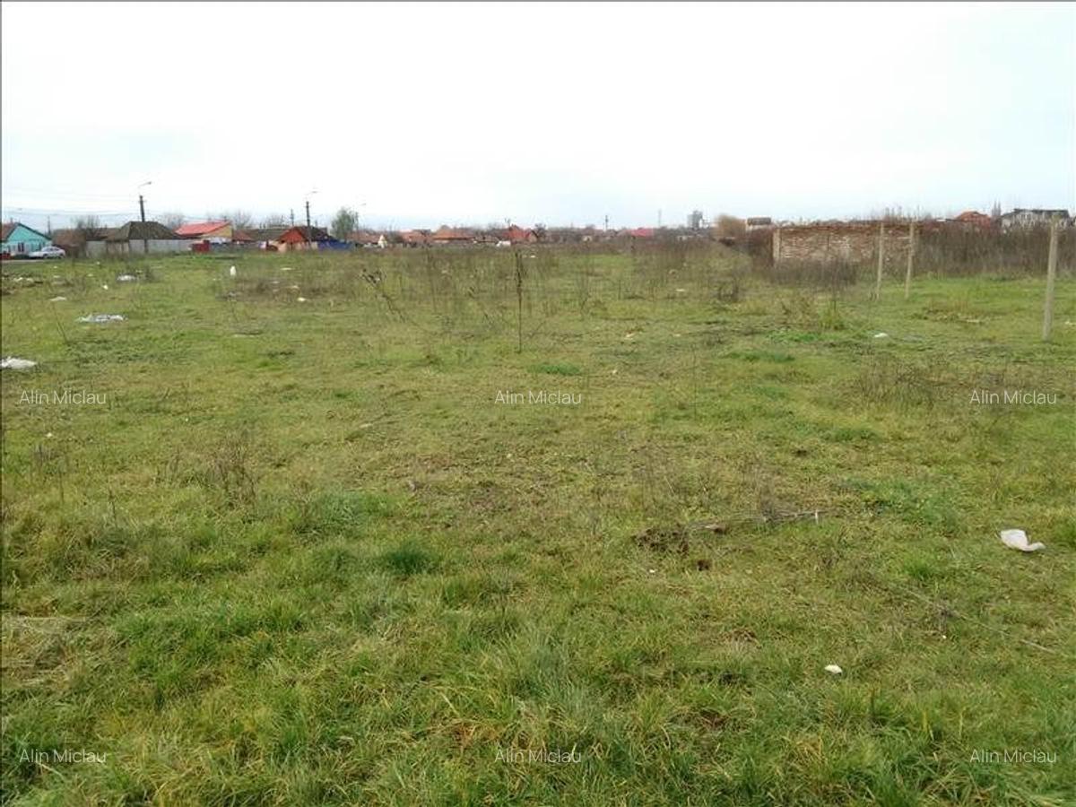 Teren intravilan in Timisoara - 5
