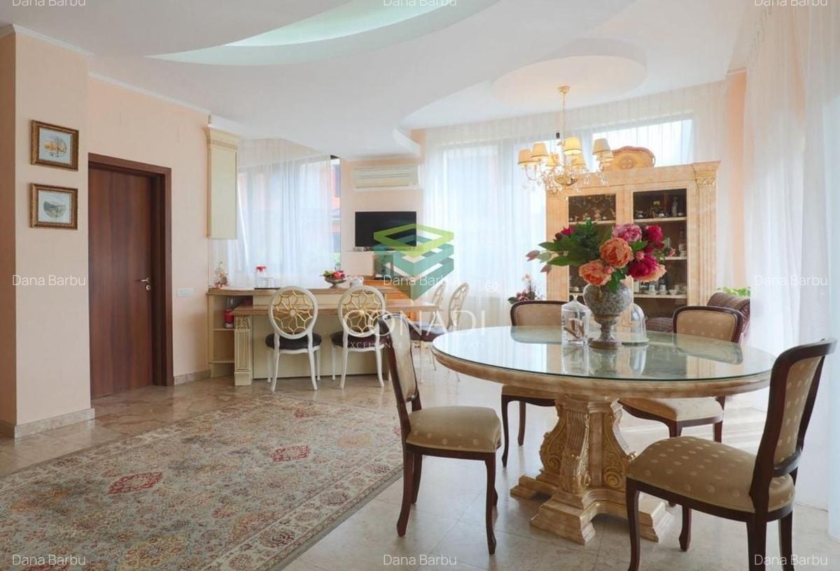 Iancu Nicolae, vila cu 5 camere de inchiriat, 291 mp utili - 1