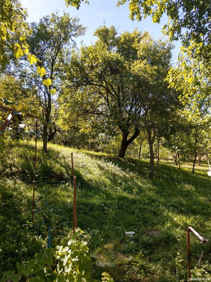 Casa de vacanta pe deal, D+P+M cu 8400 mp, teren - 7