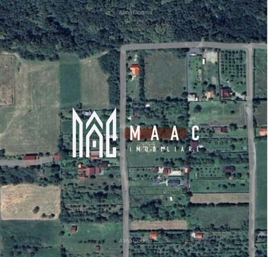 Teren | 1110MPU | Intravilan | Tropinii Noi - 1